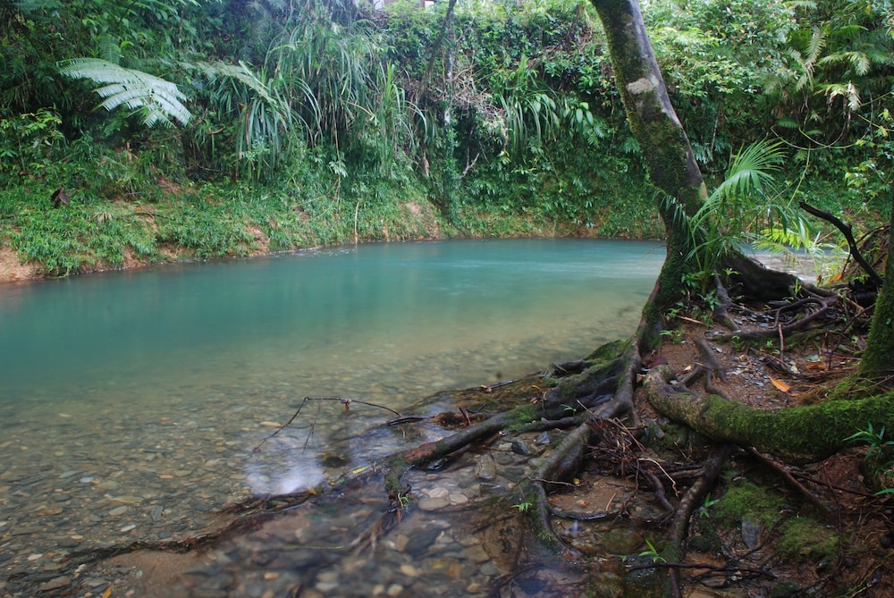 Heritage Lodge In the Daintree 36/53
