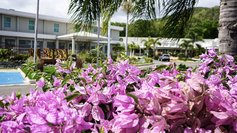 Costa Bahia Hotel and Convention Center 33/41