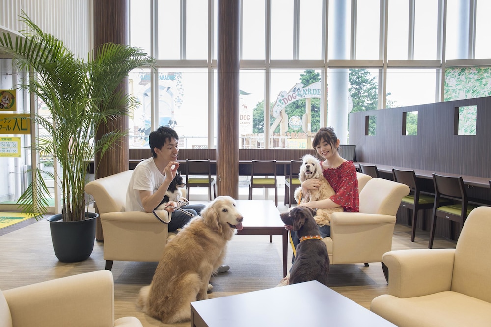 Izumigo Izukogen Dog Paradise Hotel 31/38
