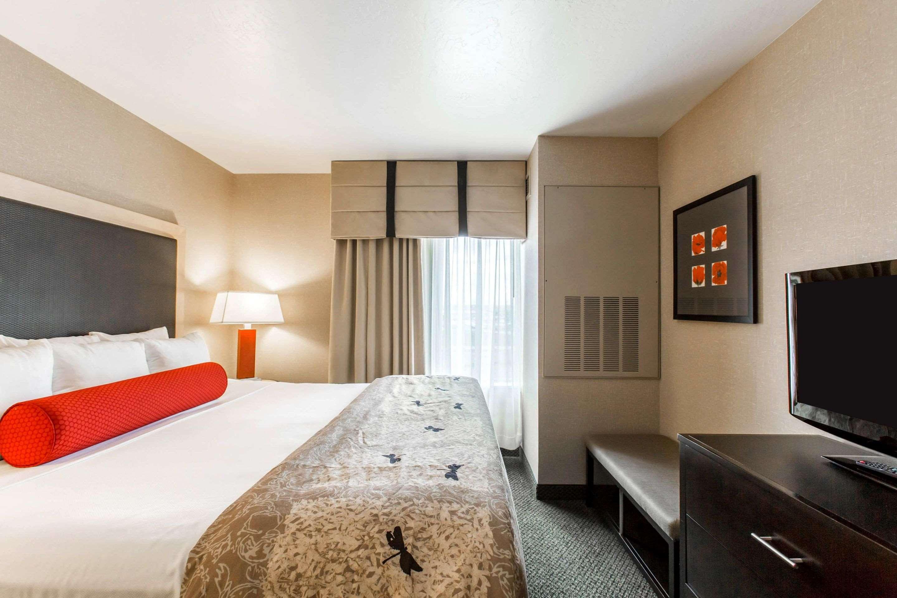 SUITE, KING BED, ACCESSIBLE