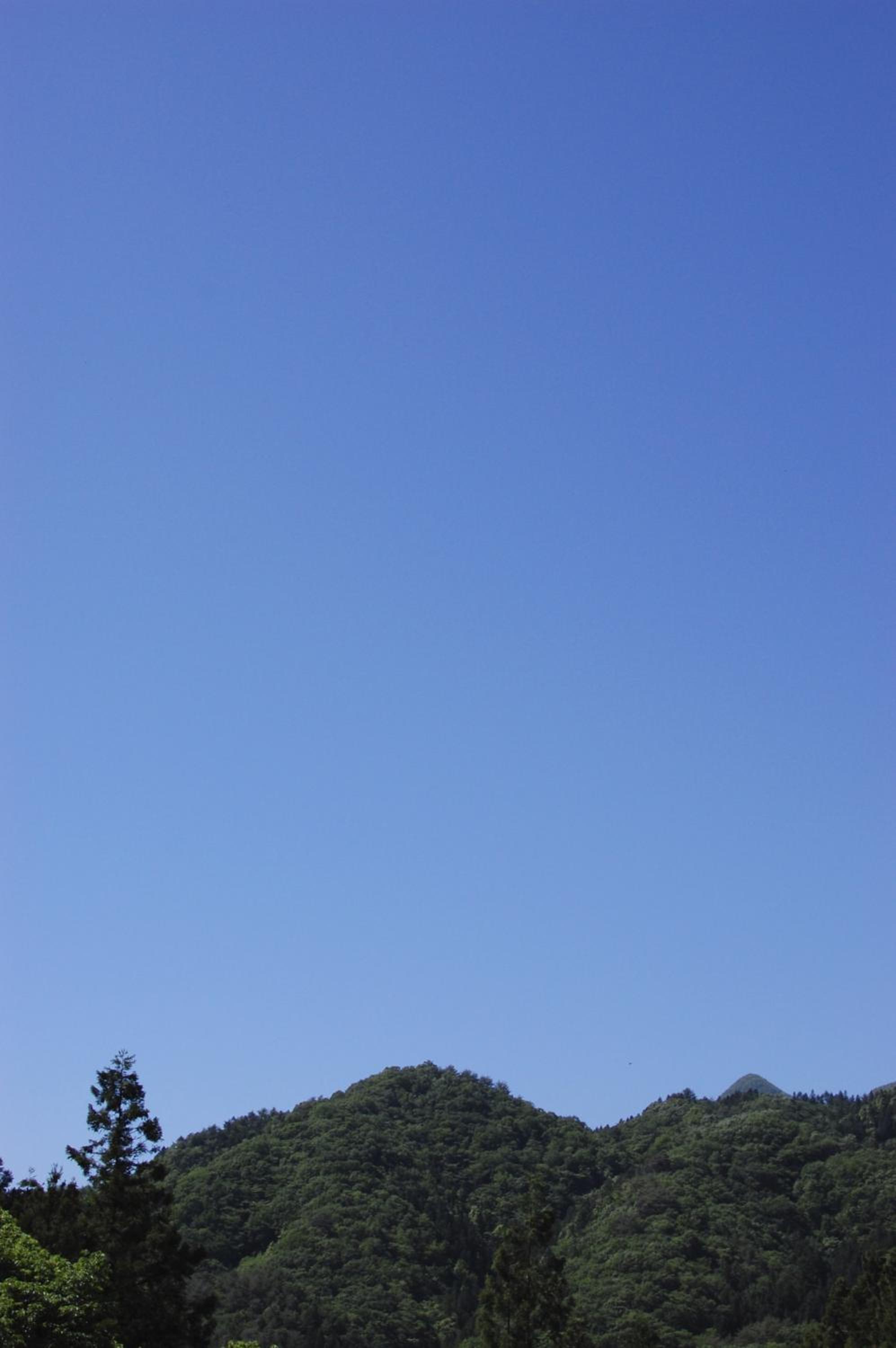 Miyataya Ryokan 45/50