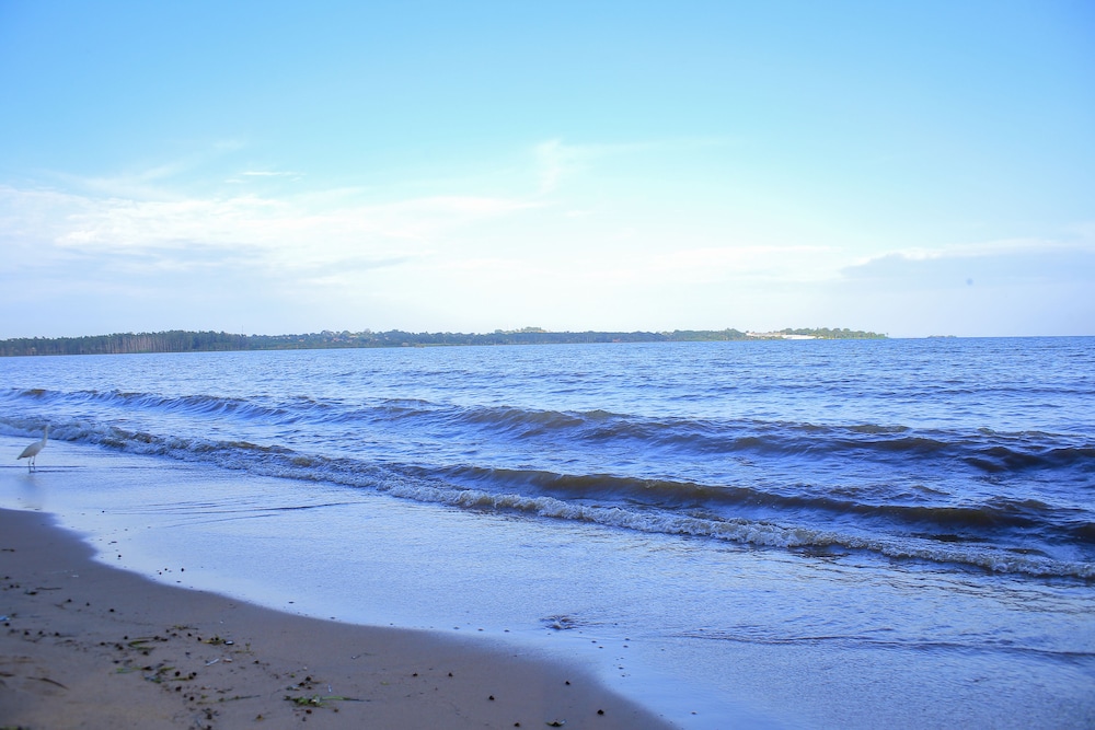 Saffron Beach Bistro & Cottages 36/50