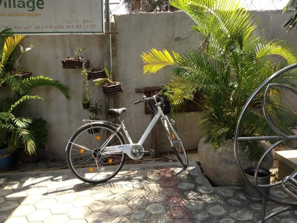 The Coconut House 24/50