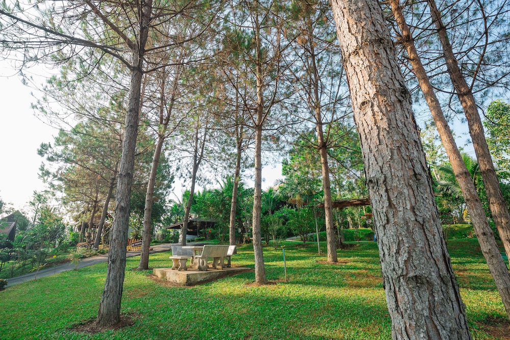 Raisongrao Resort 33/50