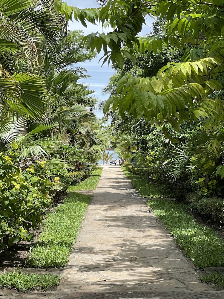 Perfect Home Two minutes to Kijiji Beach [VR] 34/50