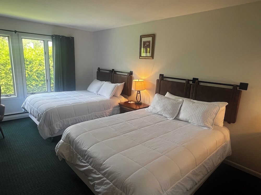 Stowe Motel Snowdrift 14/65