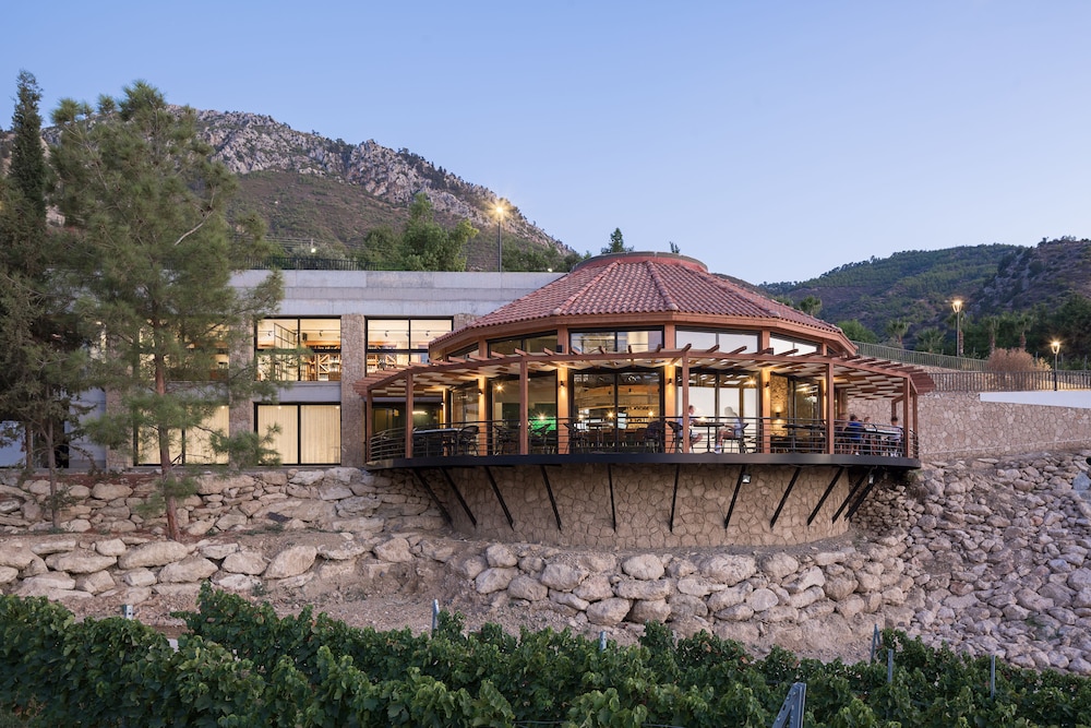 Gillham Vineyard Hotel 1/50