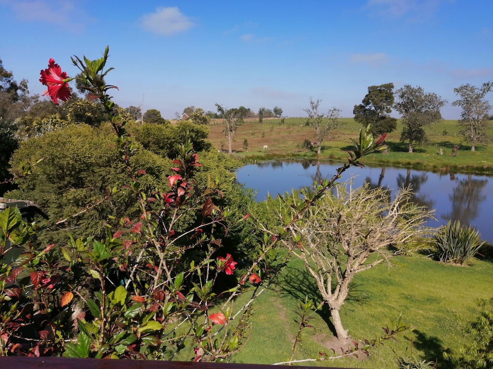 Ibis Place Guest House 37/50
