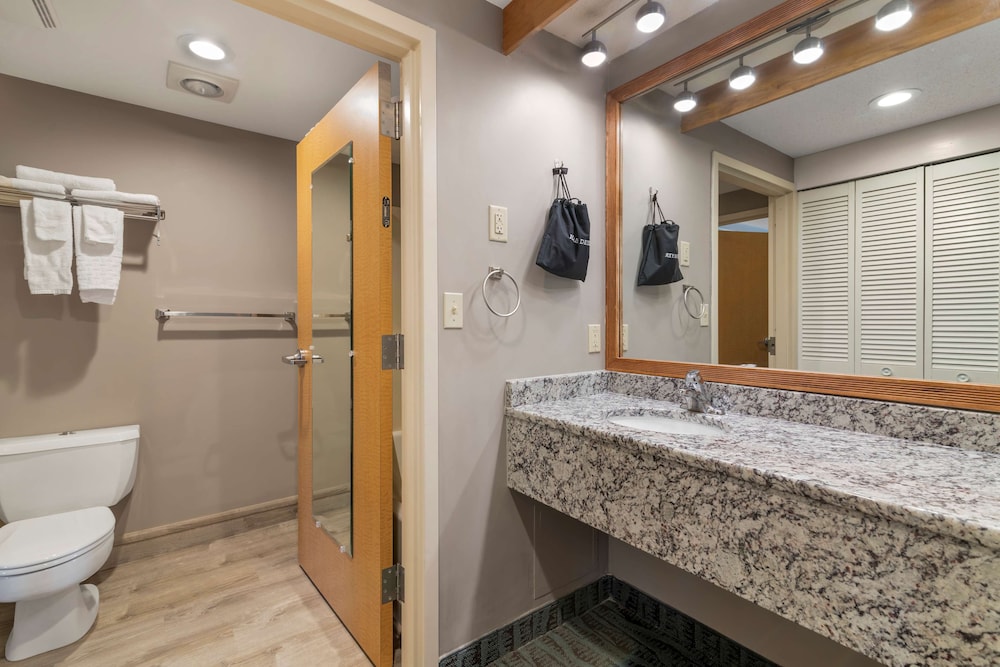 Standard, King Bed, Best Western Plus Executive Court Inn & Conference Center 3/3