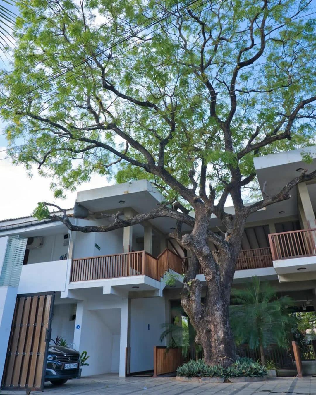 Anantamaa in TRINCOMALEE
