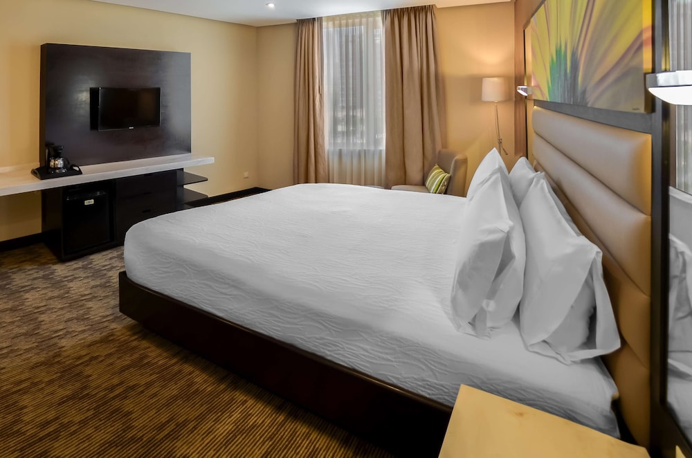 Hilton Garden Inn Guatemala City 24/58