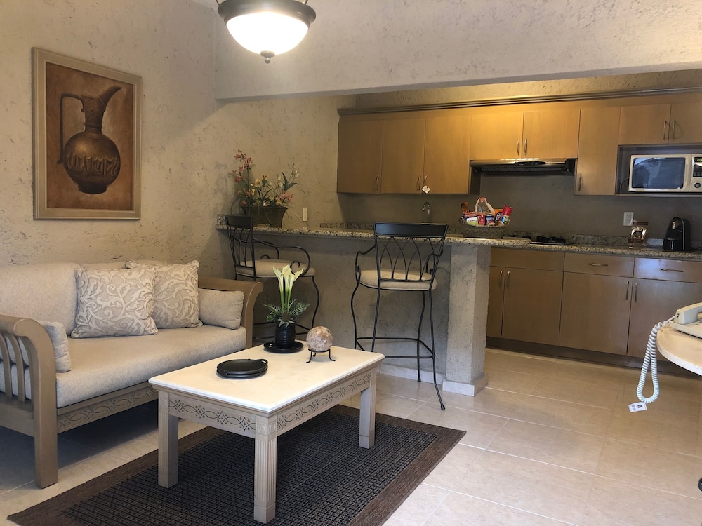 Suites Layfer 19/45