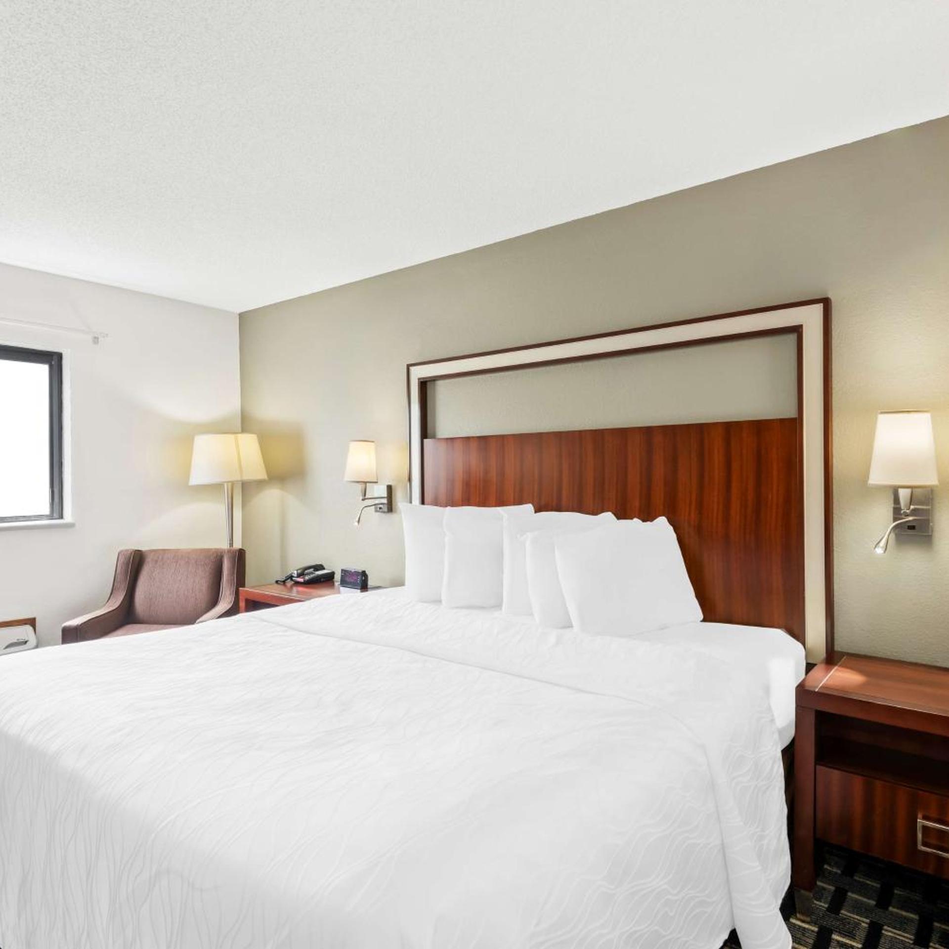 Room, King Bed, Sofa, Accessible