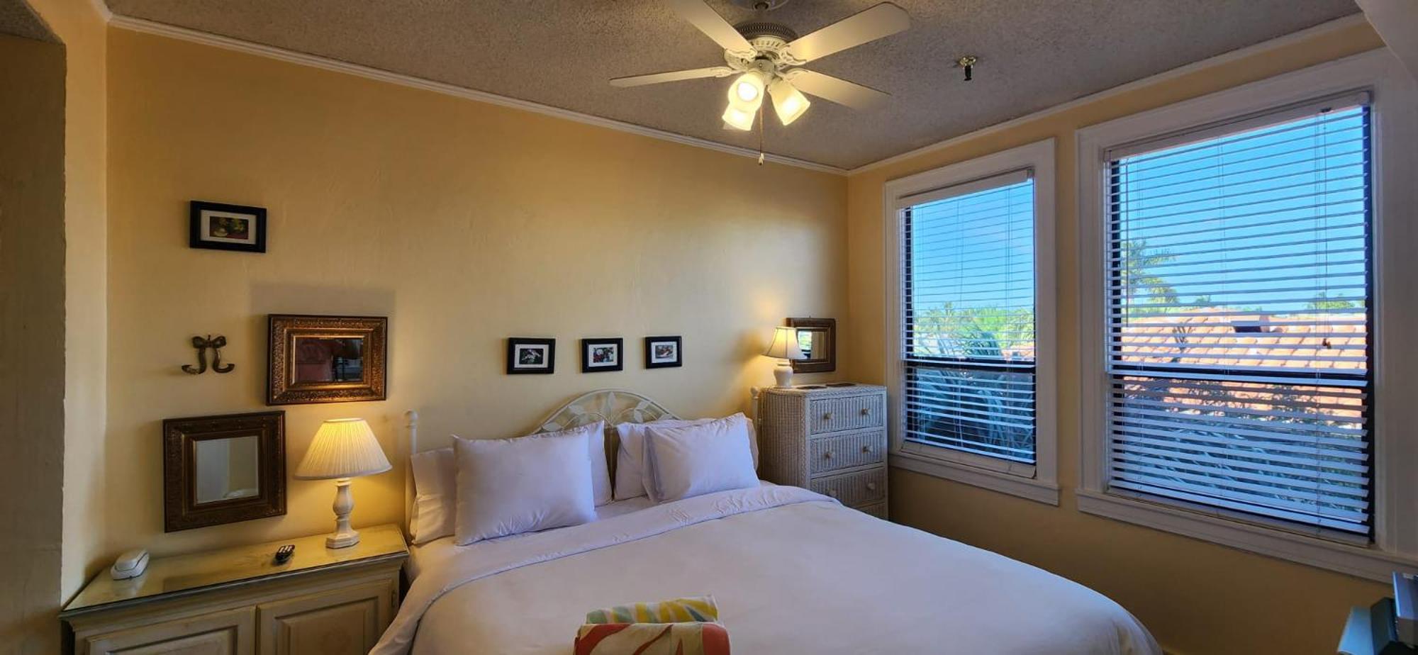 1 Bedroom, Tropical