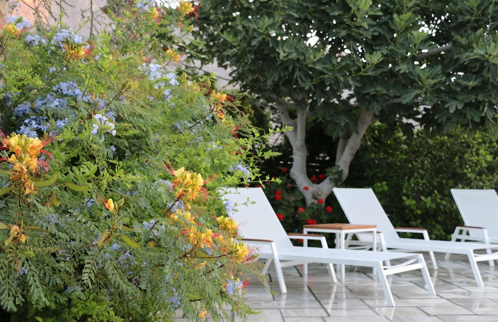 Zorzis Hotel 28/50