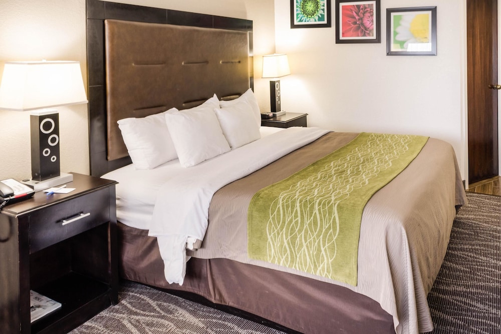 Comfort Inn Downtown Charleston 12/35