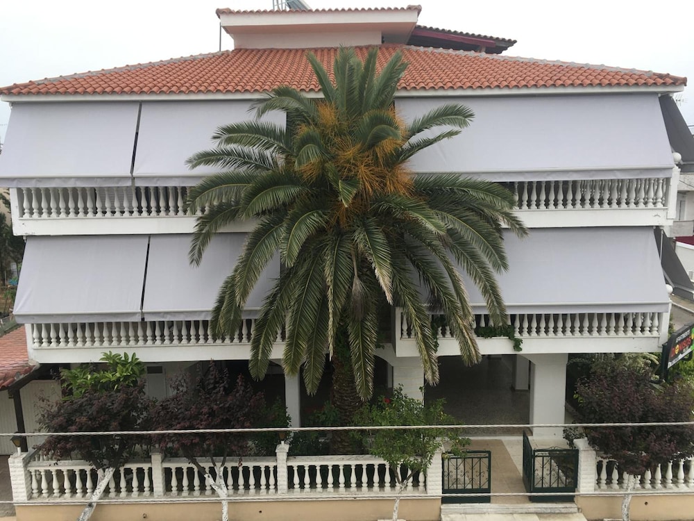 Dionisos Palms 2/50