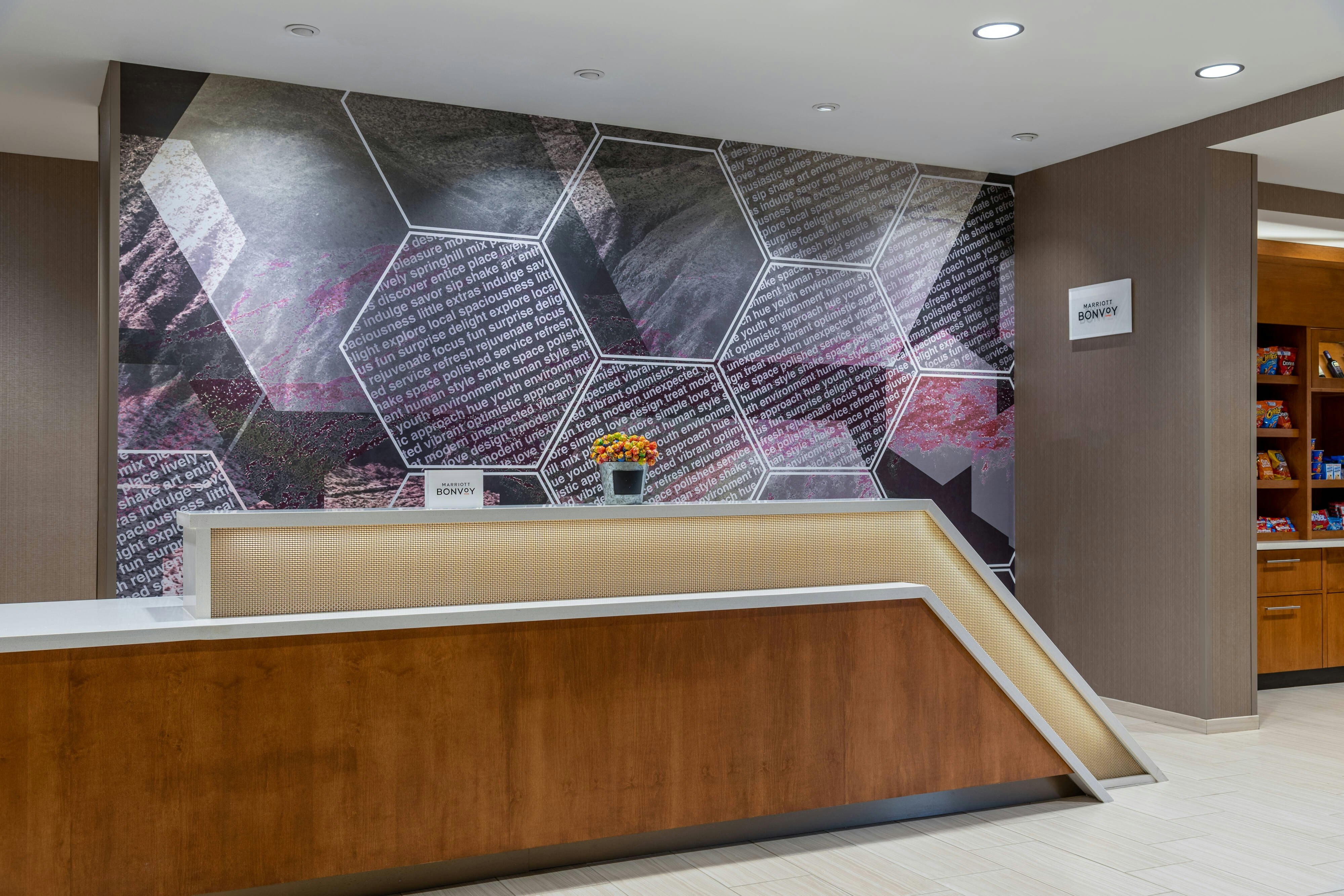 SpringHill Suites by Marriott Overland Park Leawood 1/17