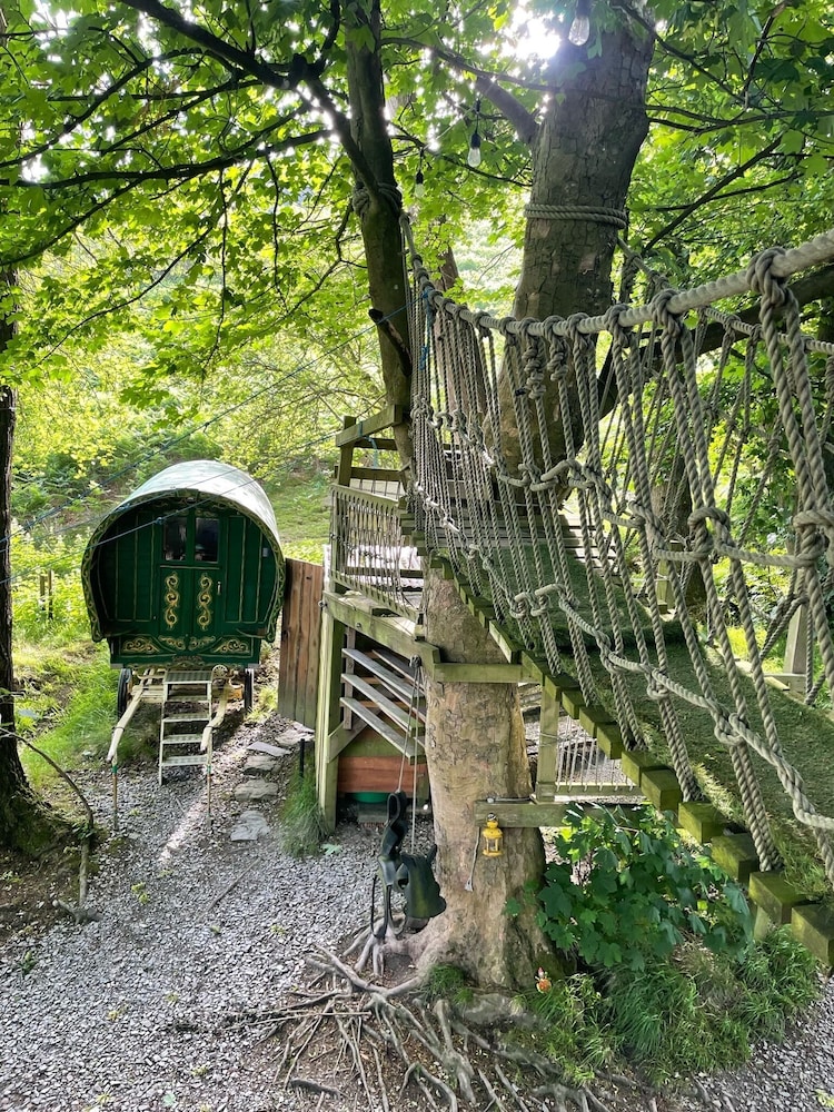 Owl Lodge 46/50