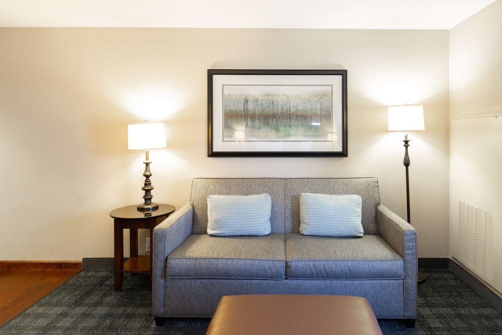 Homewood Suites by Hilton Lawrenceville Duluth 29/51