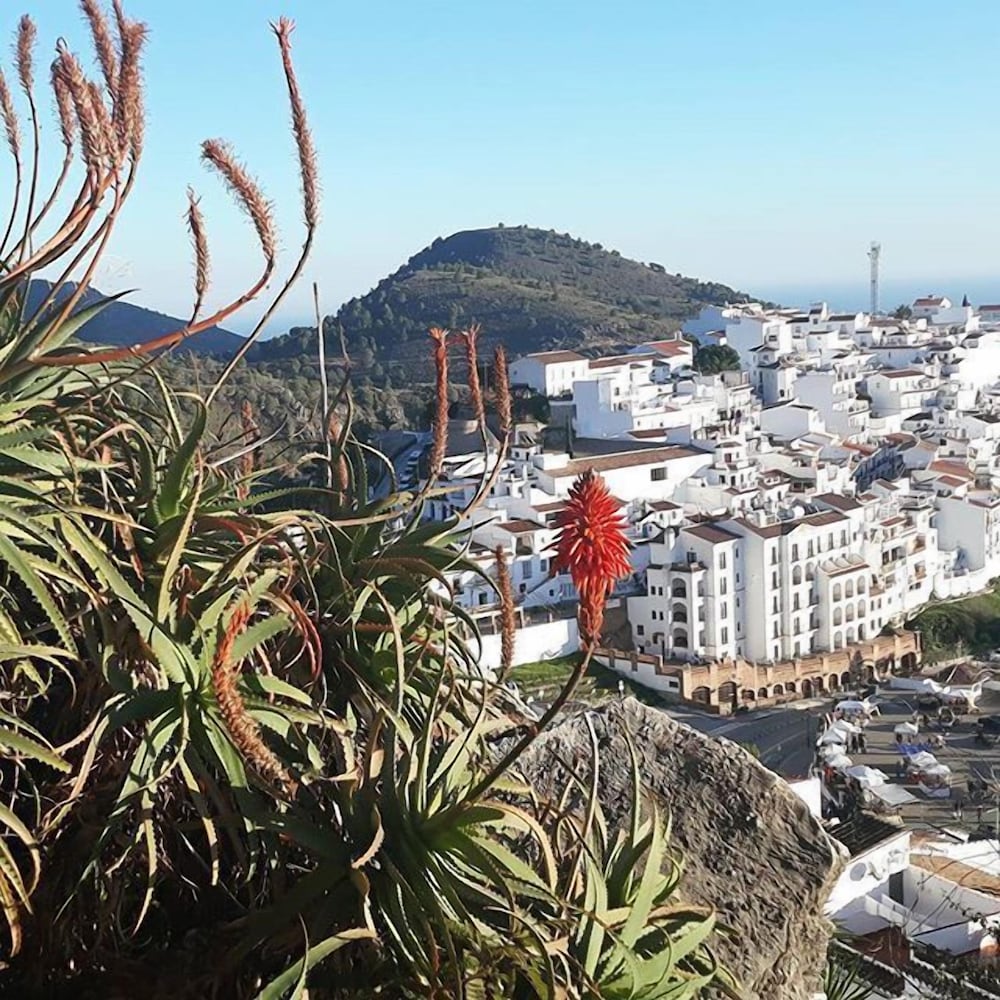 Millers Of Frigiliana 39/50