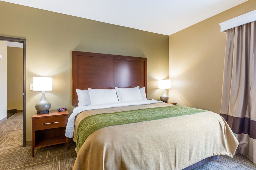 Comfort Inn Collinsville near St. Louis 12/46