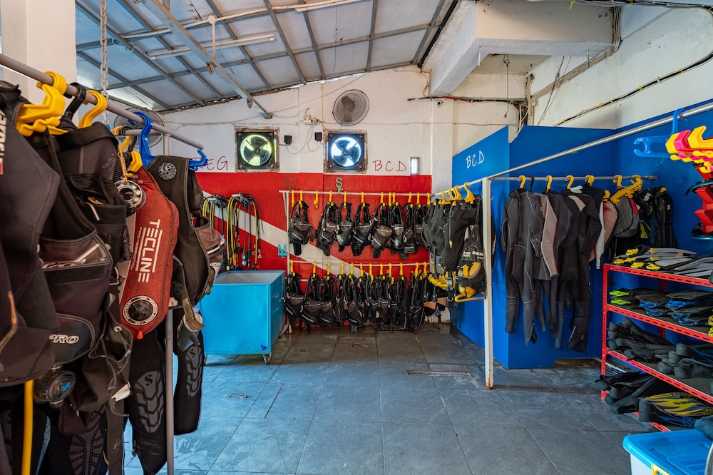 Dragon Dive Komodo Hostel 40/50