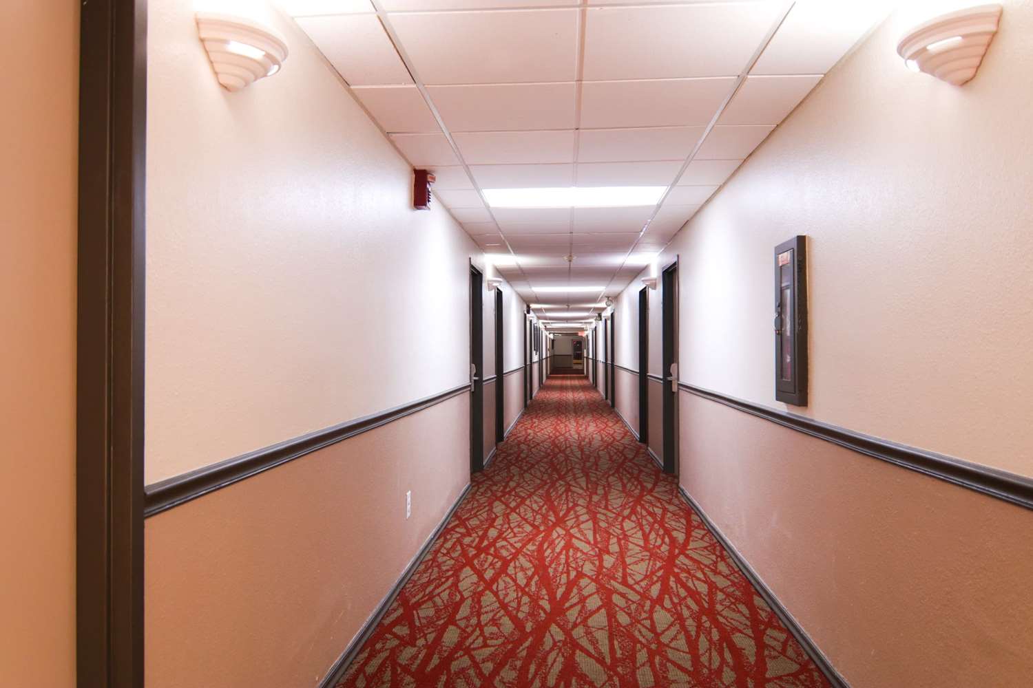 Ramada By Wyndham Davenport Orlando South 22/51