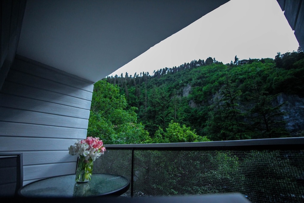 Borjomi Underwood Hotel 39/60