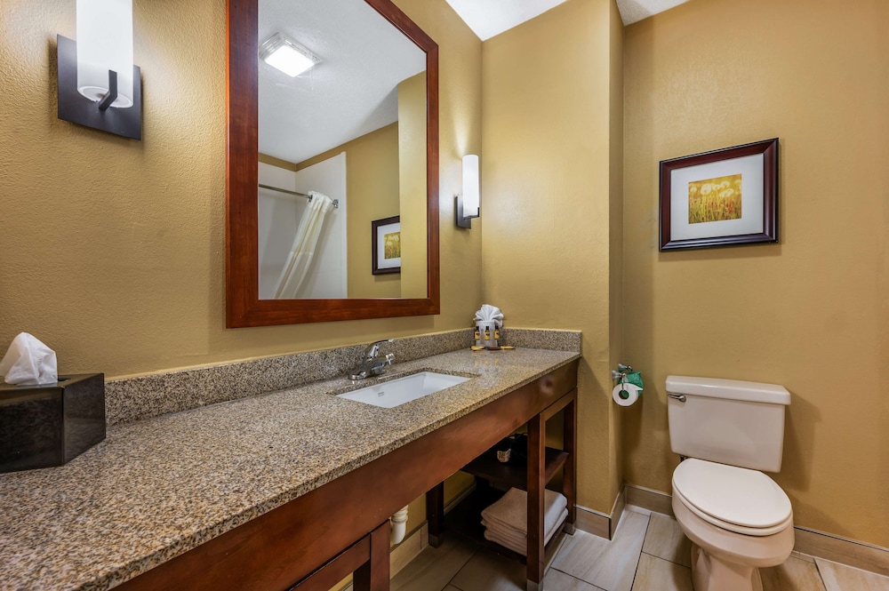 غرفة بزنس بسرير كينج، Best Western Plus Georgetown Corporate Center Hotel 3/4