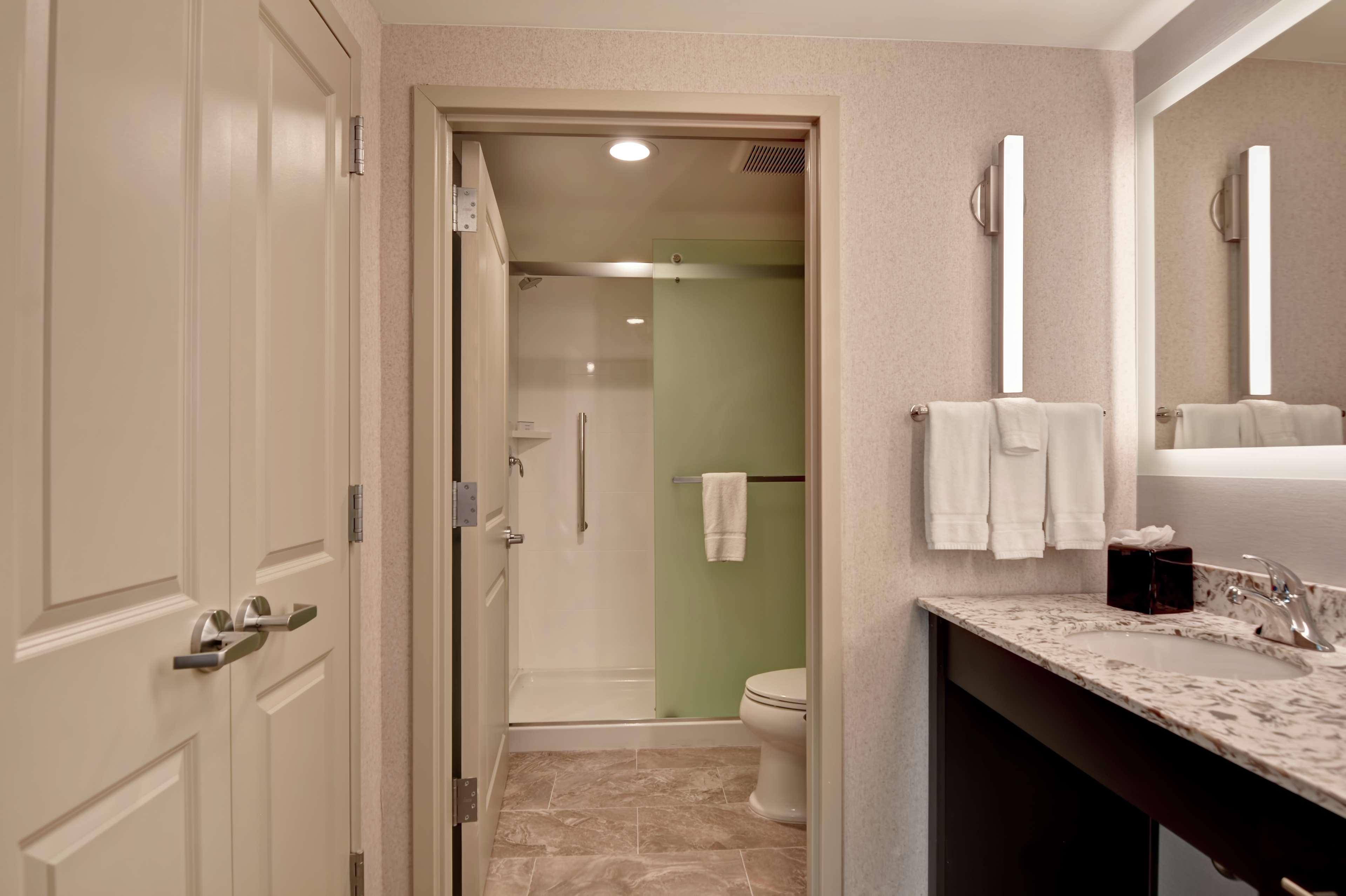 2 Bedrooms, Suite, 1 King or 2 Queen Beds, 2 Bathrooms