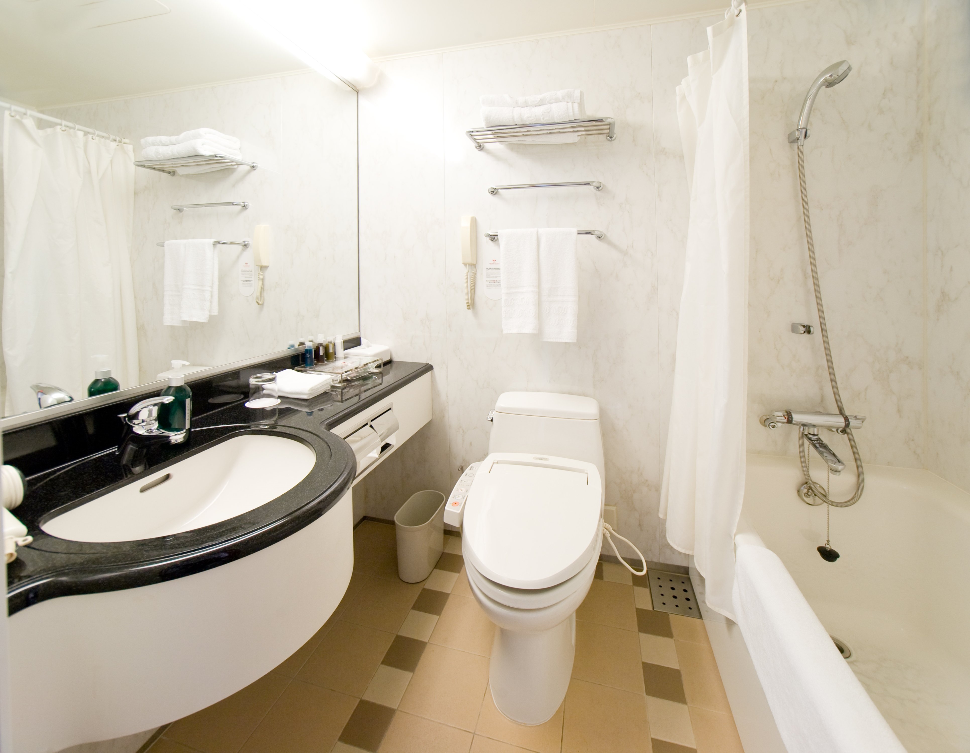 غرفة قياسية بسريرين منفصلين، Ana Crowne Plaza Hotel Toyama 4/4