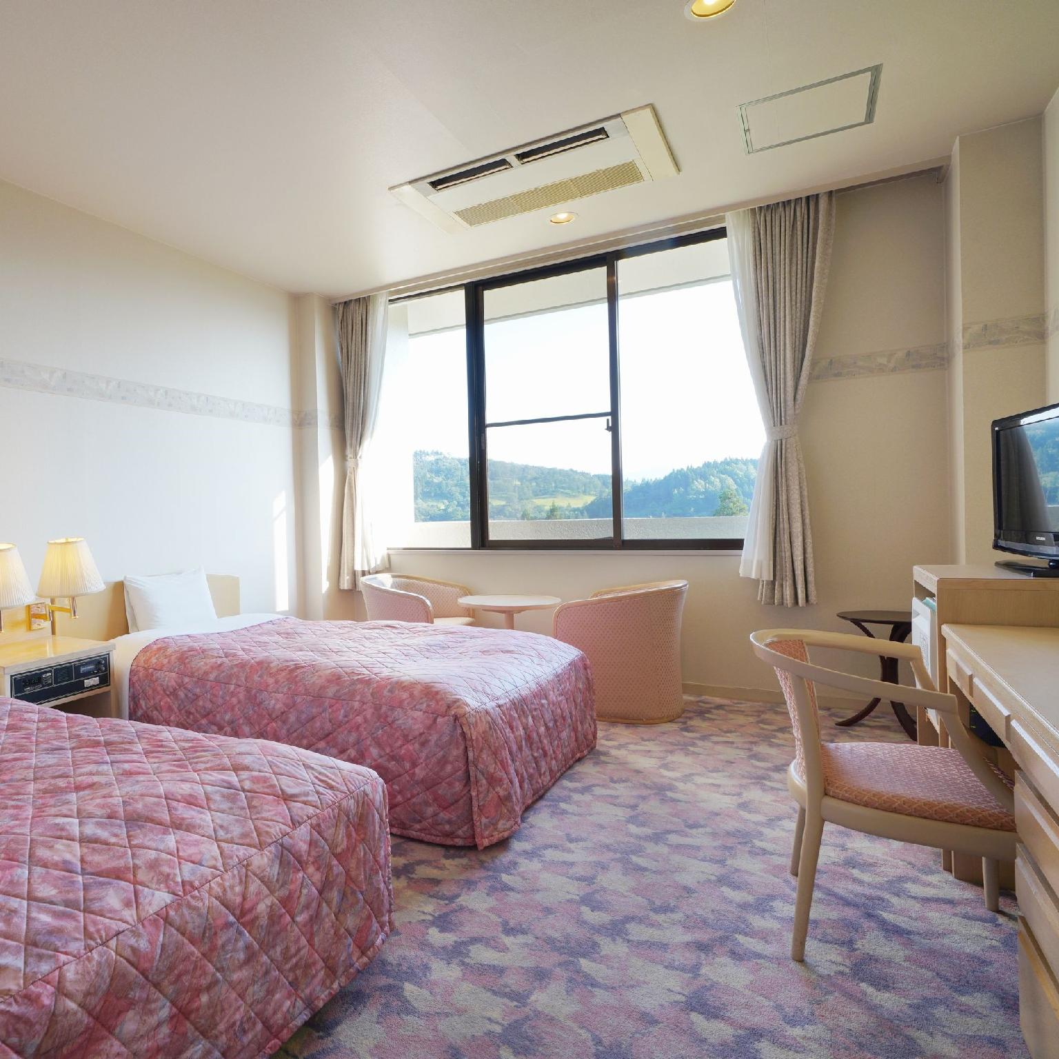 Room, Twin Beds, Mountain View