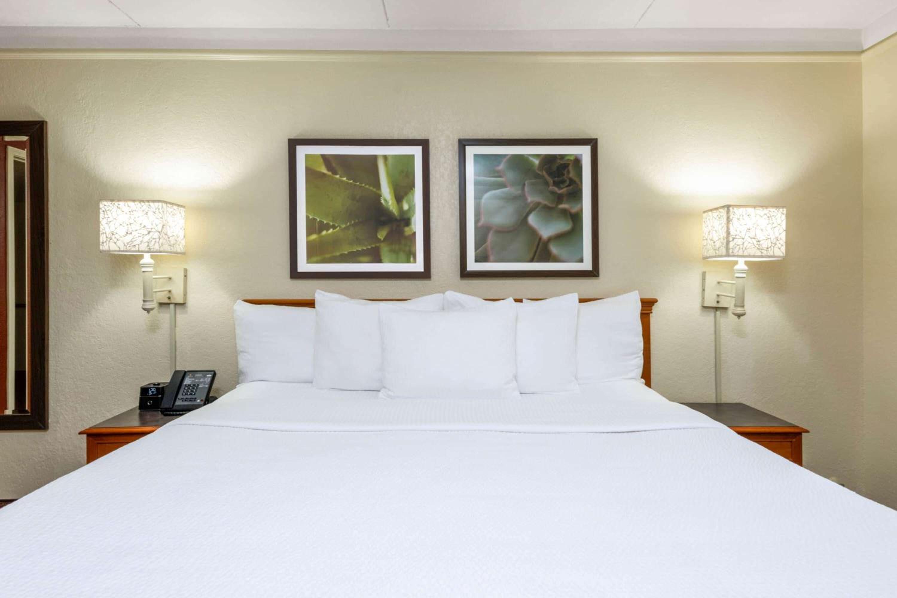 غرفة تنفيذية بسرير كينج، La Quinta Inn by Wyndham Deerfield Beach I-95 at Hillsboro E 4/6