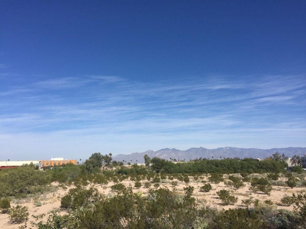 surroundings