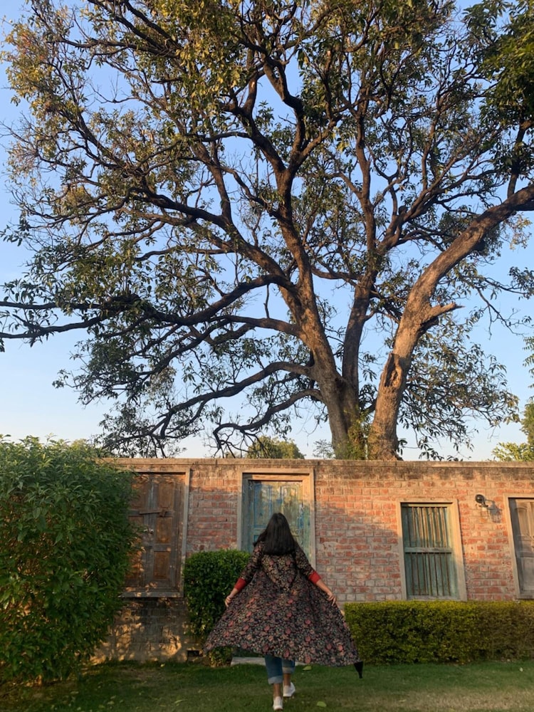 Tree Of Life Resort & Spa 62/66