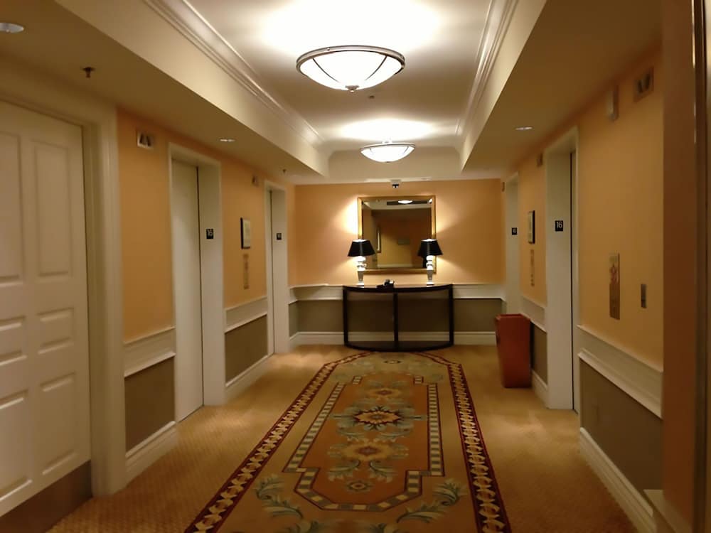 Signature Affordable Luxury Hotel 11/24