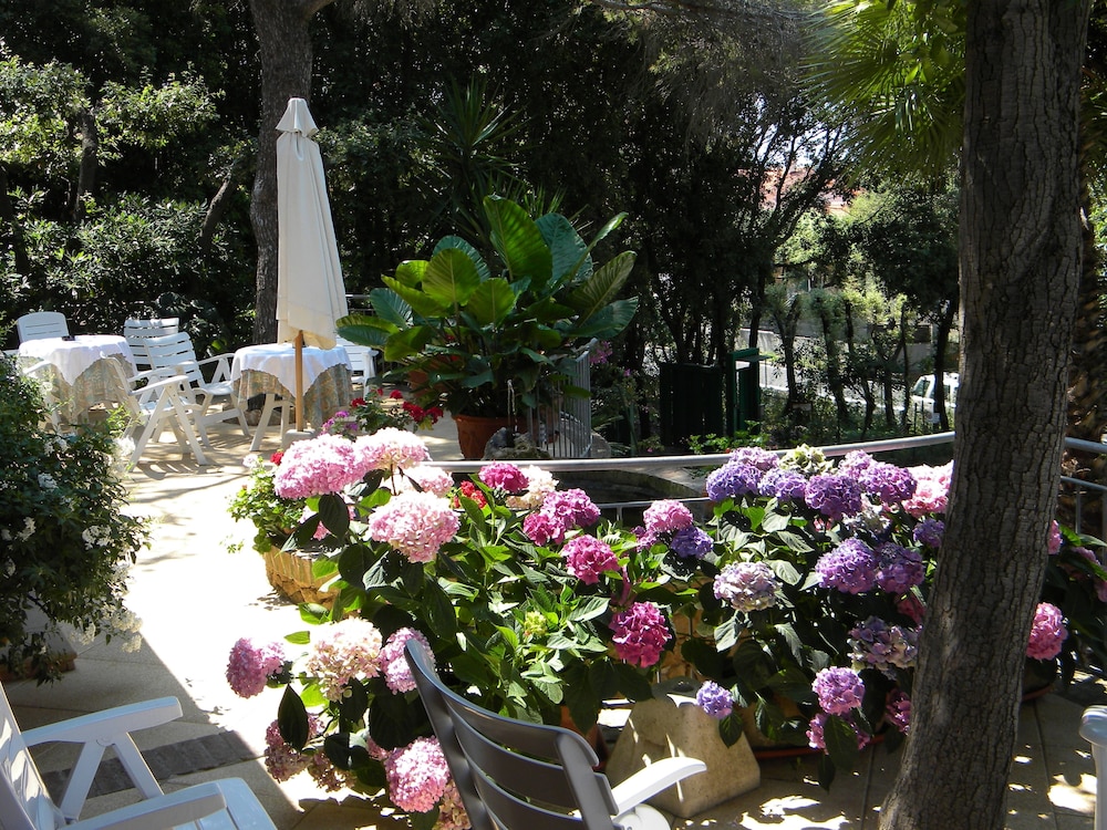 Hotel La Rosa Del Tirreno 34/40