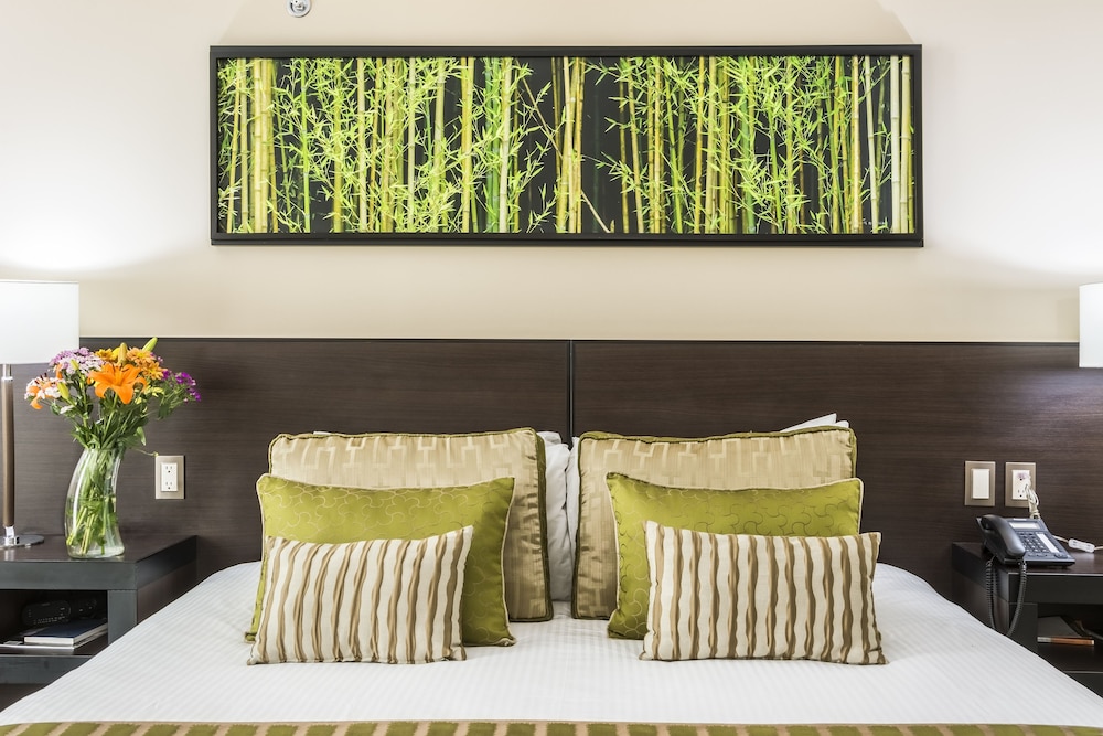 Studio Hotel Boutique 52/75