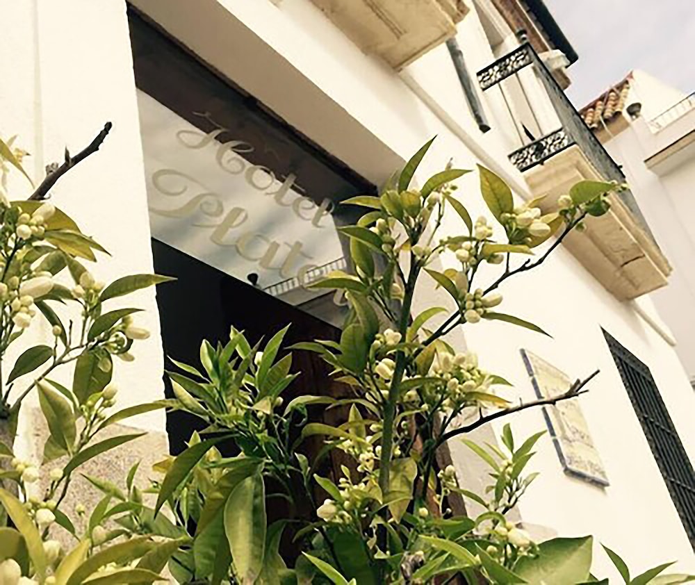 Plateros Hotel 4/50