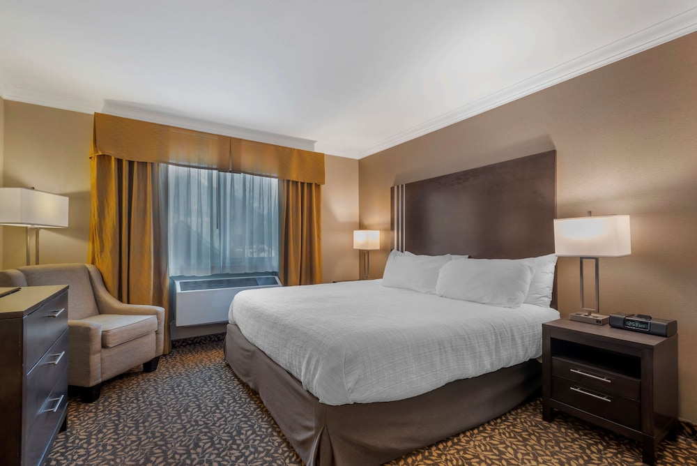 Standard, King Bed, Pet Friendly