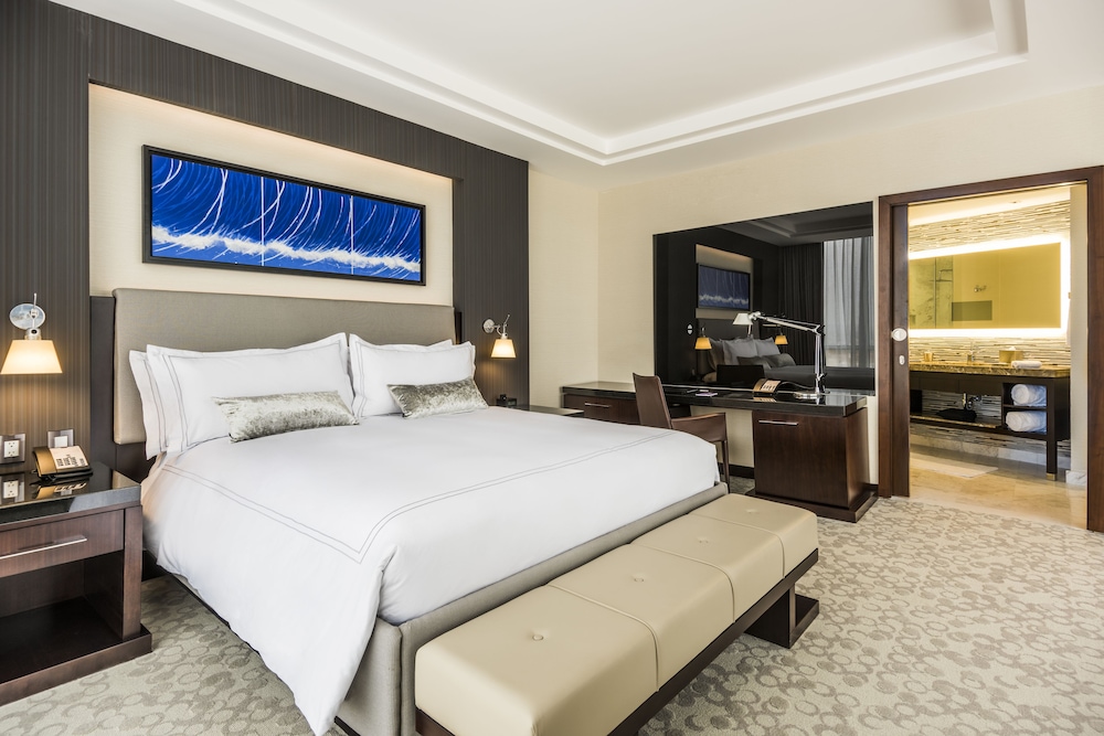 Hyatt Regency San Luis Potosi 20/74