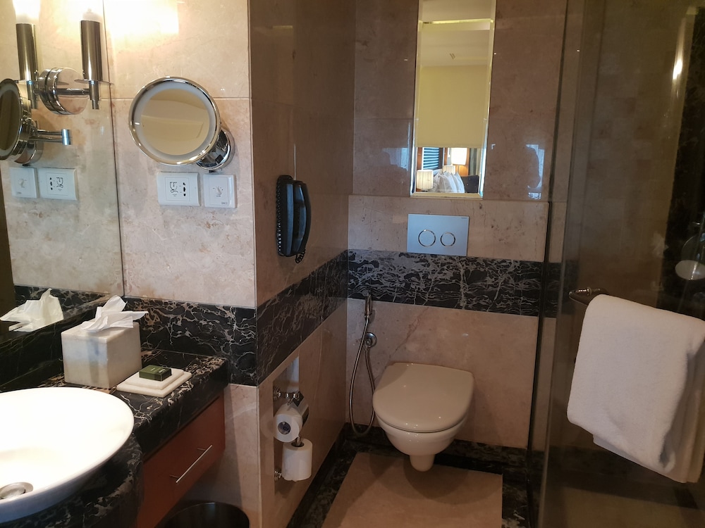 Gokulam Grand Hotel Spa 18/75