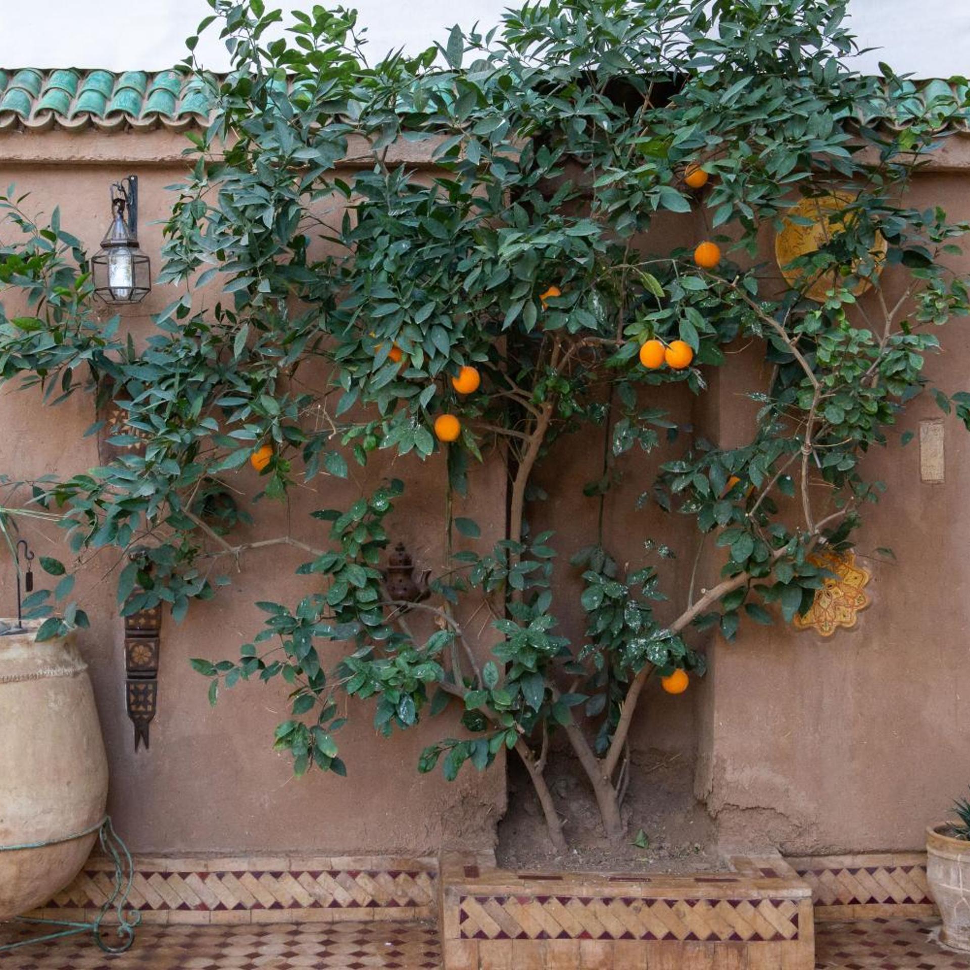 Riad Dar Soufiane 54/59