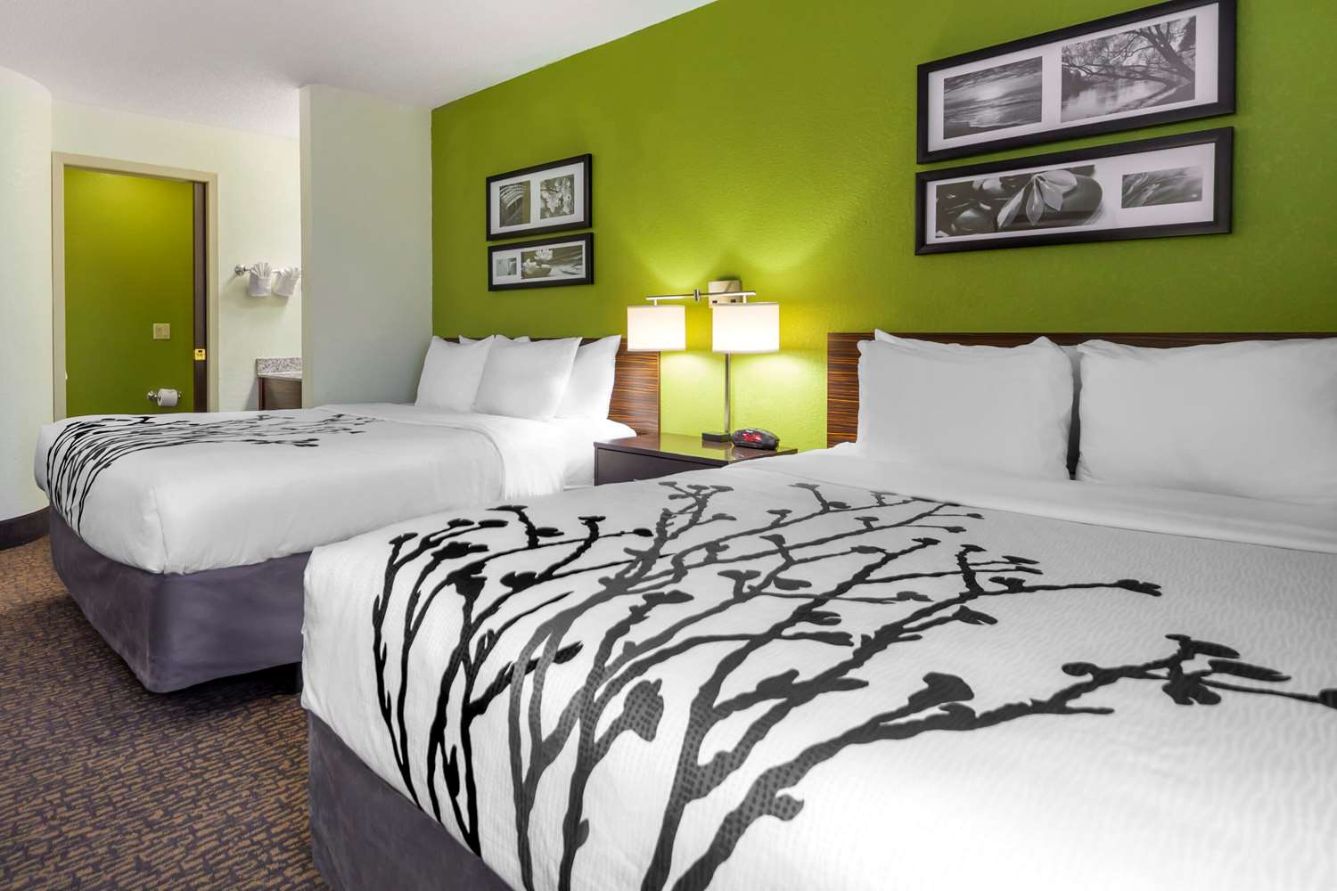 Sleep Inn Grand Island North 13/31
