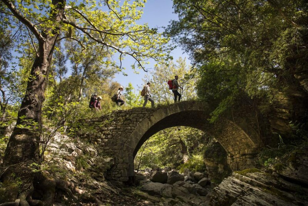 Abeliona Retreat 35/41