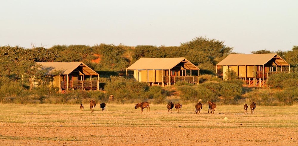 Suricate Tented Kalahari Lodge 17/22