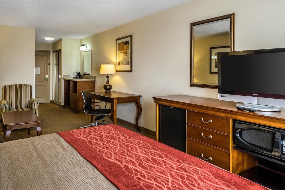 Comfort Inn & Suites Dover near Speedway 8/56