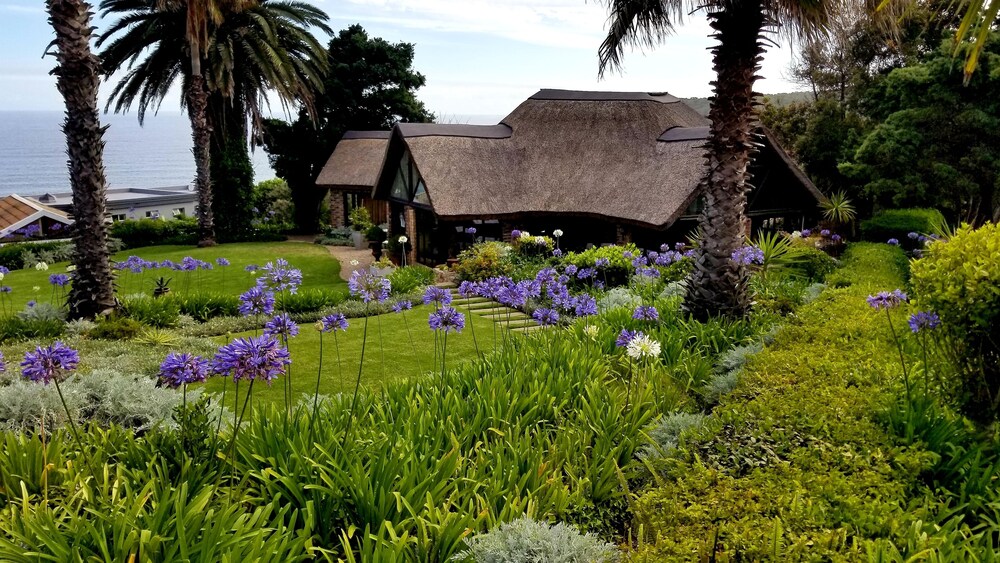 Dutton's Cove Guesthouse 39/50