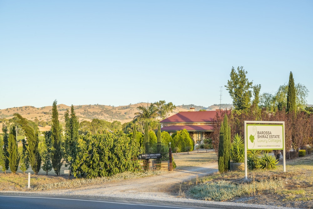 Barossa Shiraz Estate 7/50